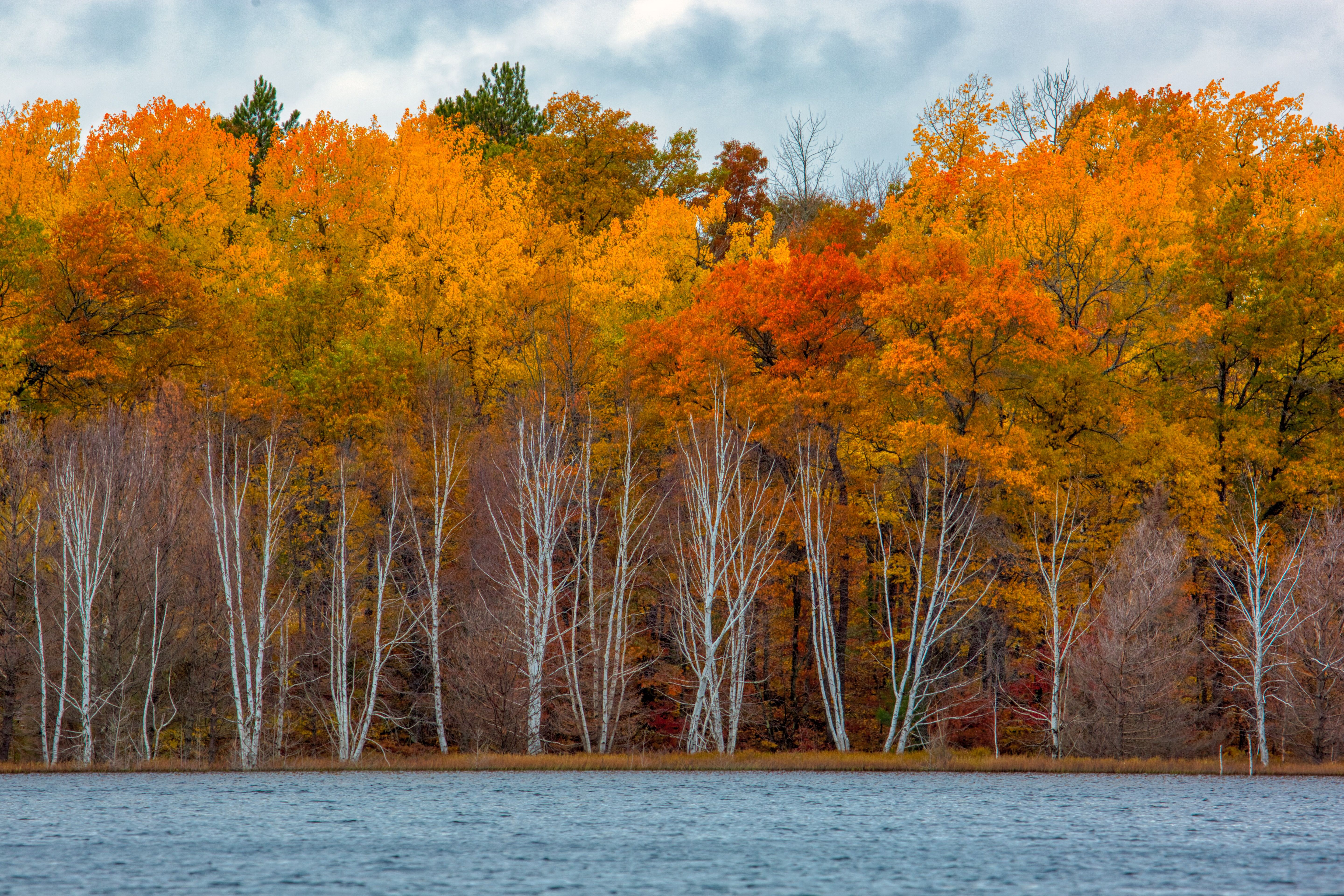 An image of a Wisconsin lake surrounded by woods in autumn. The colors include a blue stream, green ground-cover and aquatic plant life, and orange, yellow, green and gold foliage on the trees.